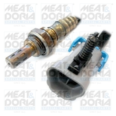Oxygen Sensor
